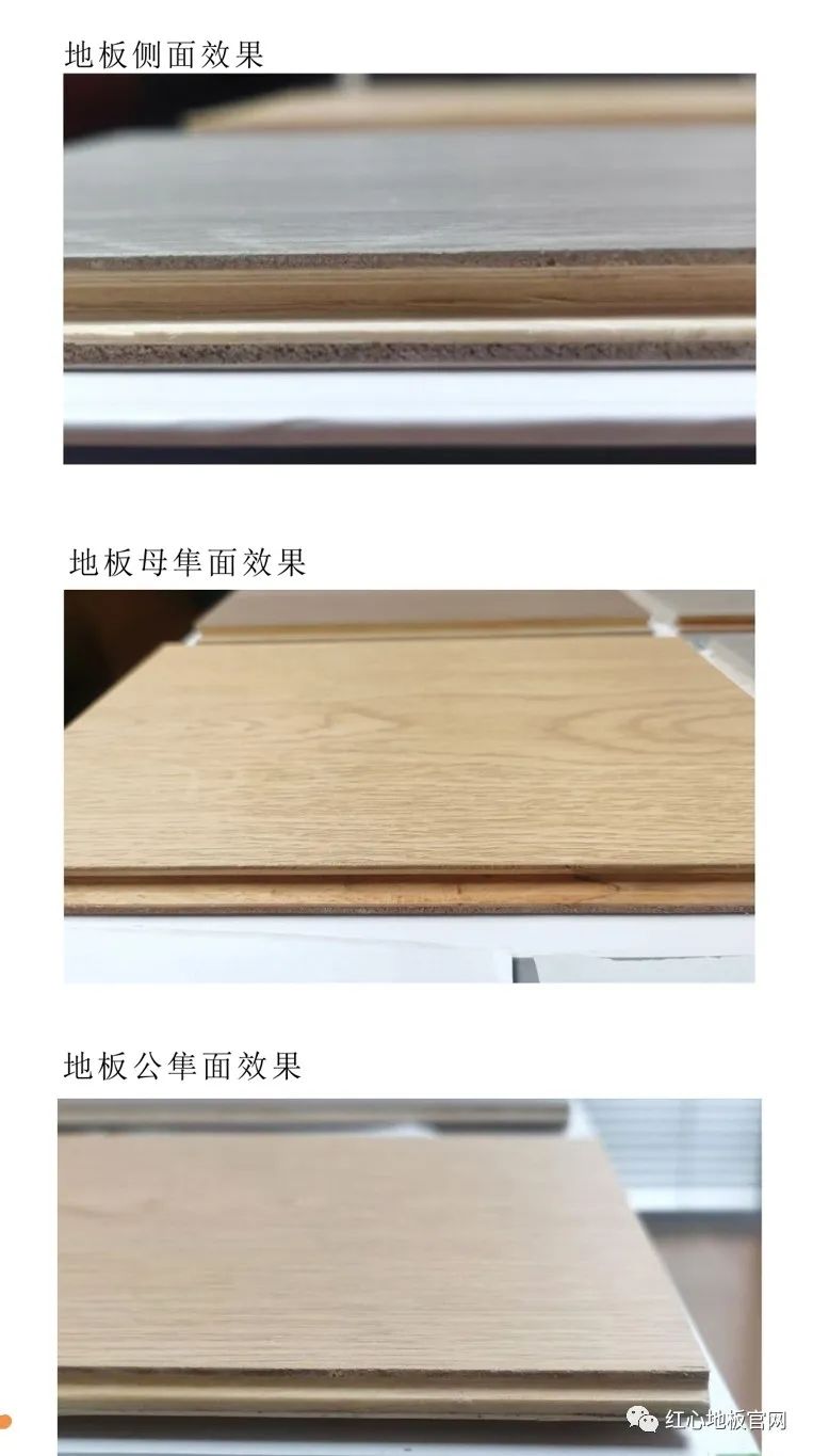微信图片_20221125110332.jpg
